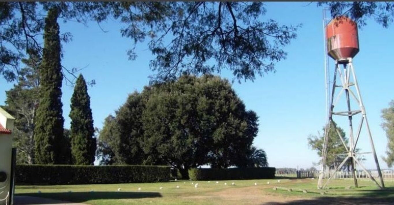 Excelente Campo Ganadero en Cerro Largo — imagen 21