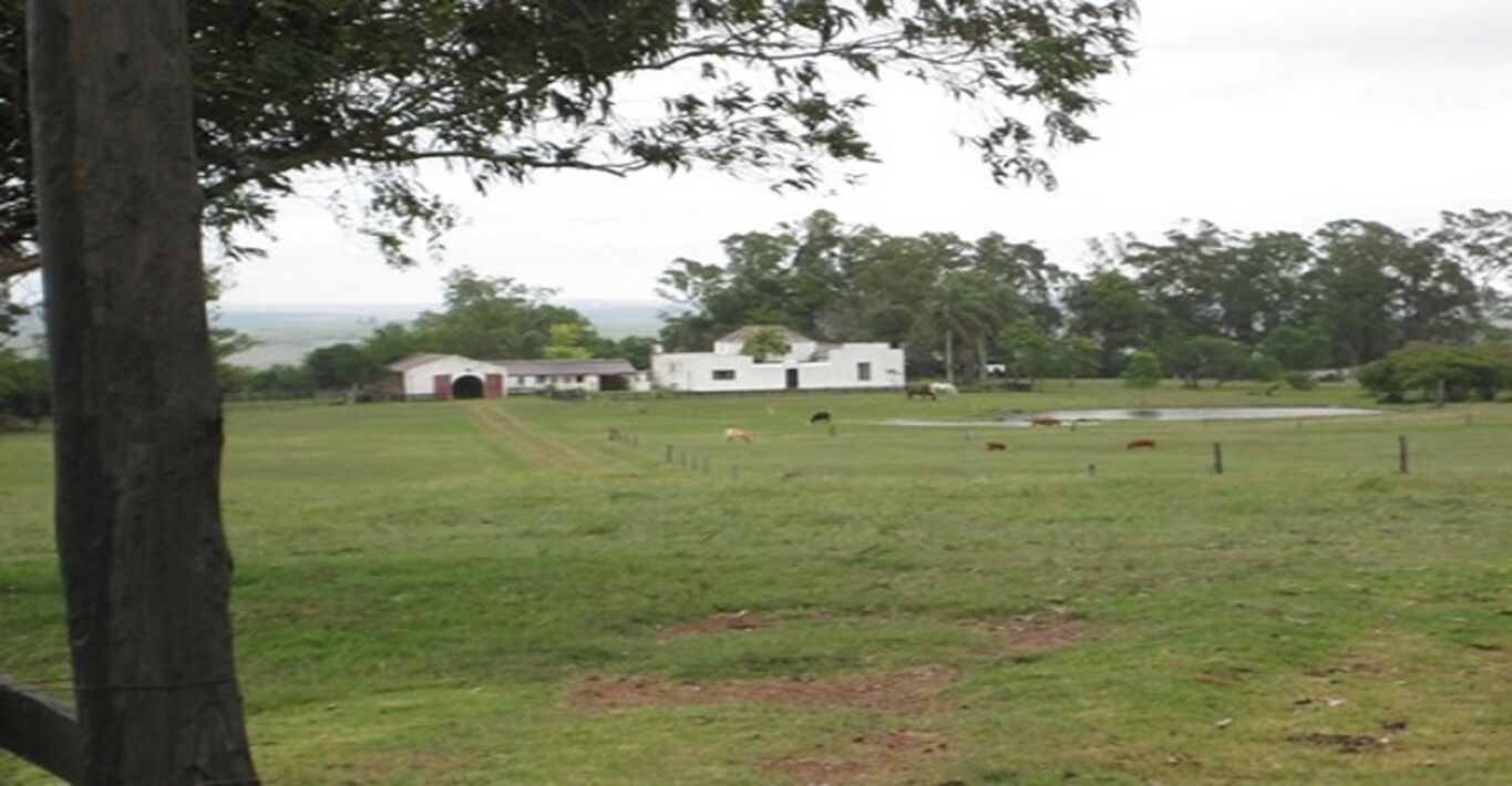 "La Azotea" — imagen 3