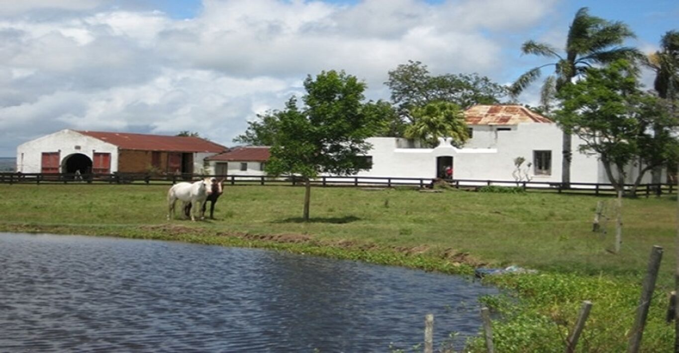 "La Azotea" — imagen 5