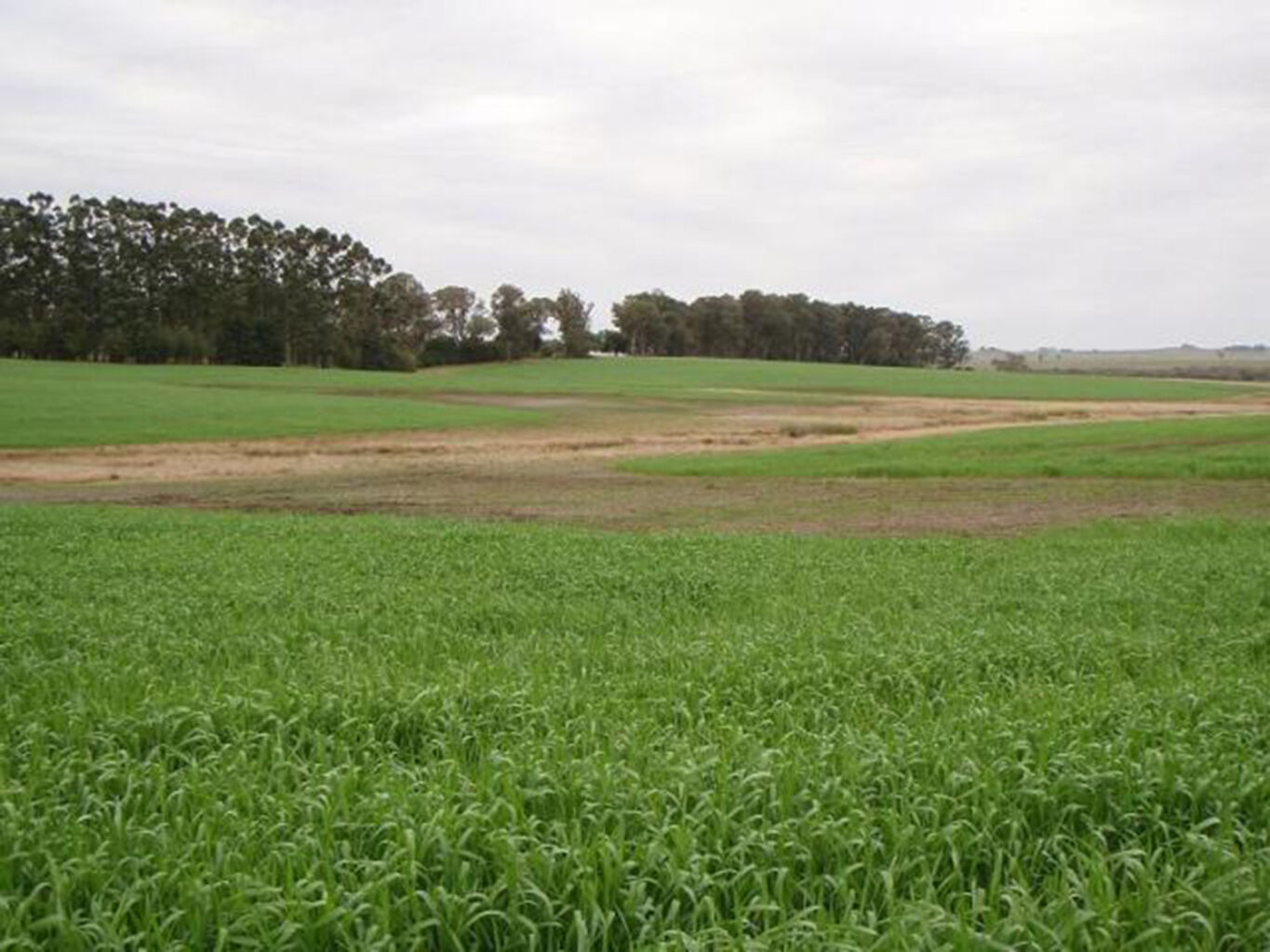 Estancia "La Blanca" — imagen 2