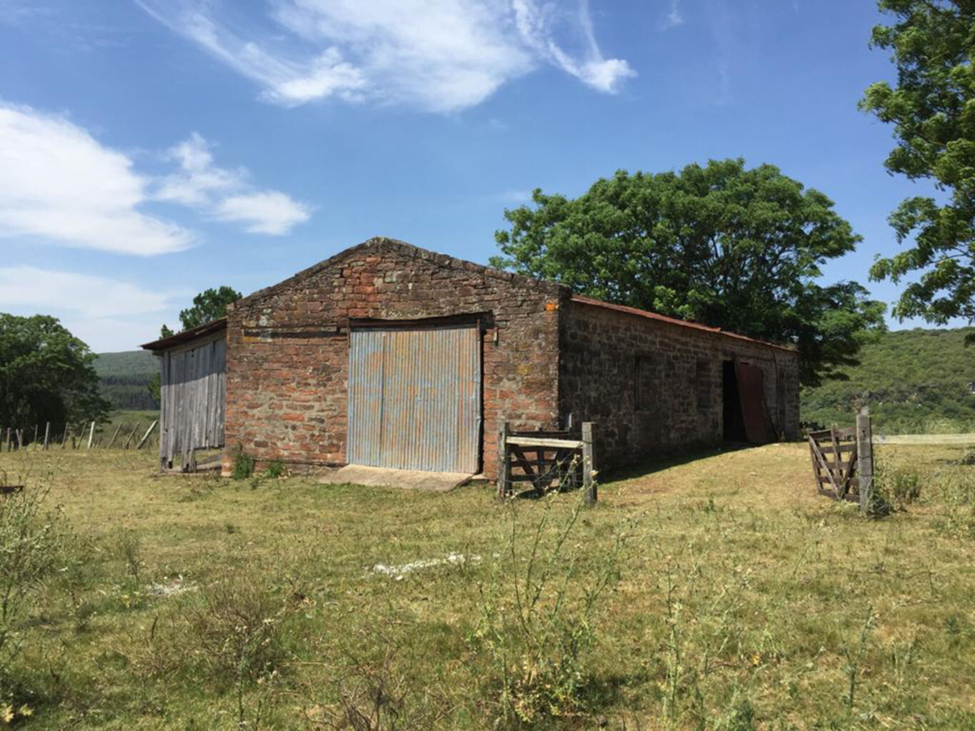 Campo en Rivera — imagen 3