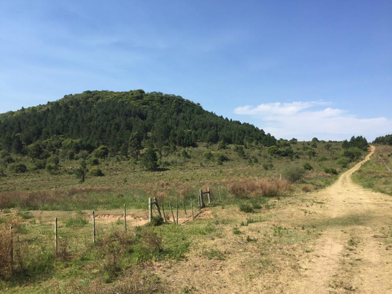 Campo en Rivera — imagen 4