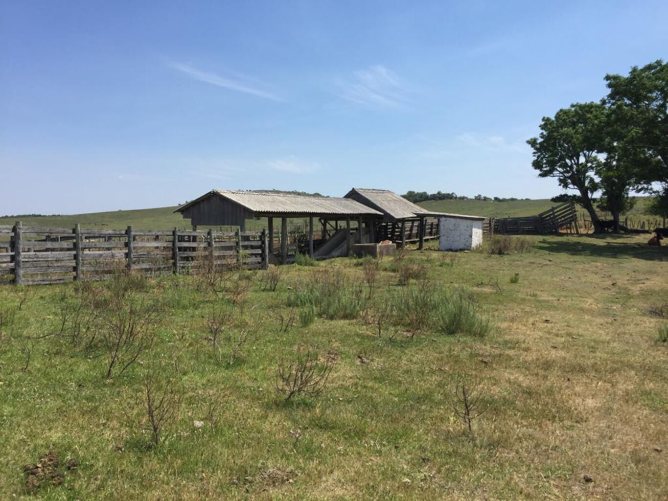 Campo en Rivera — imagen 5