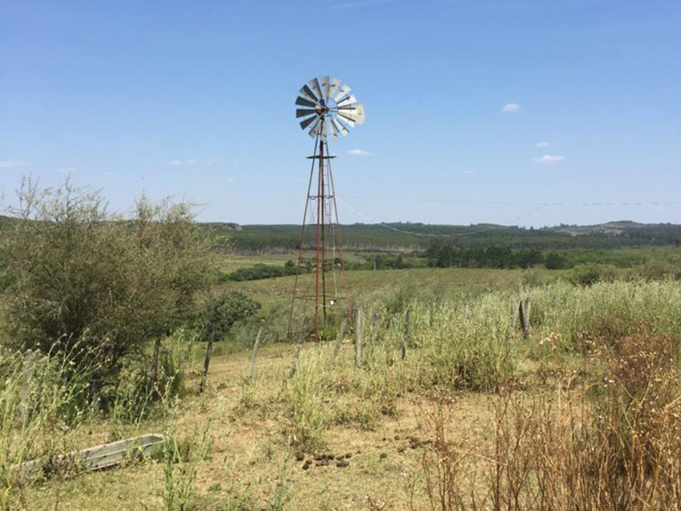 Campo en Rivera — imagen 6