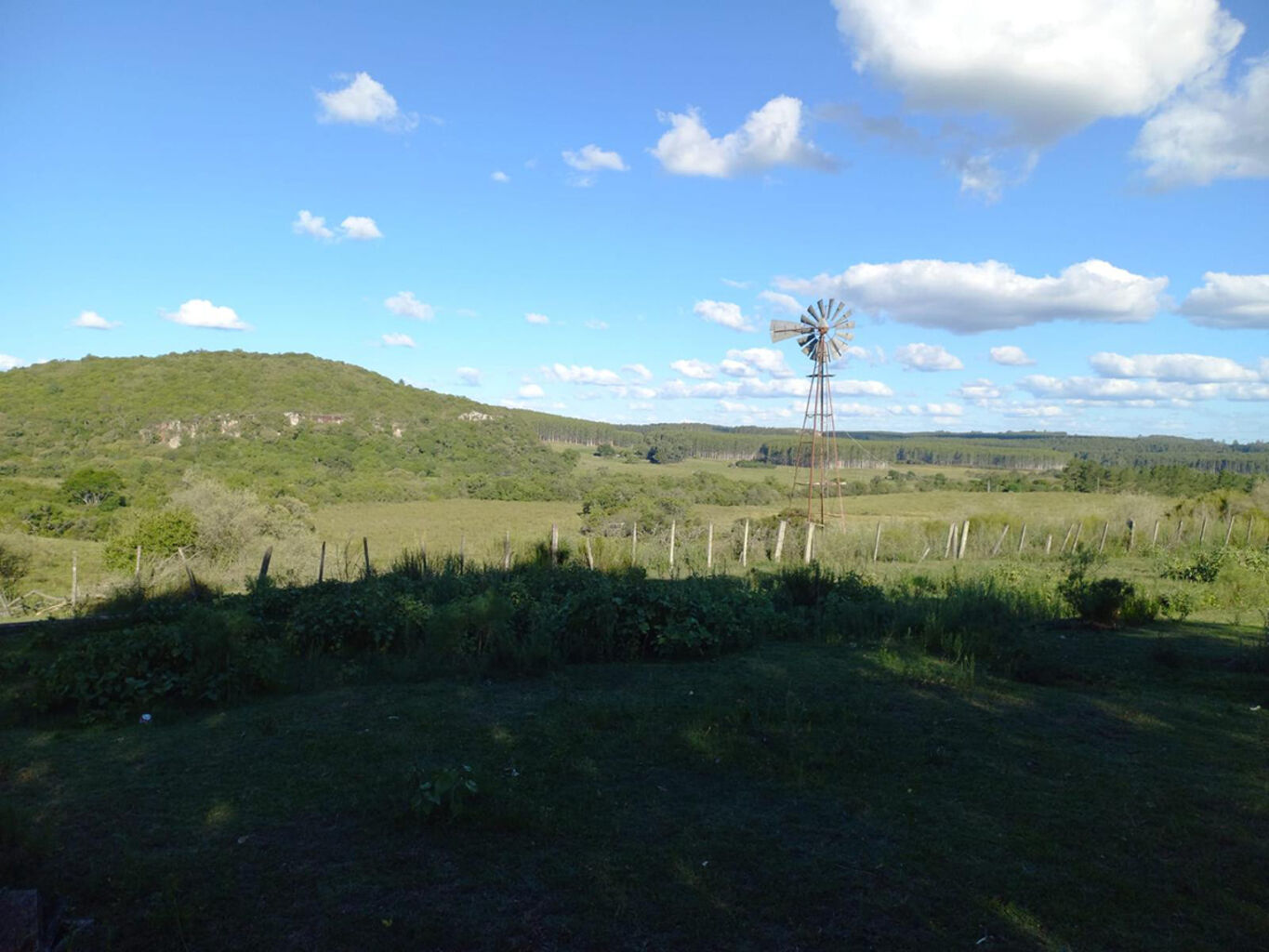 Campo en Rivera — imagen 8