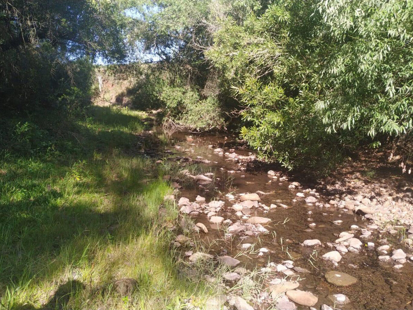 Campo en Rivera — imagen 9