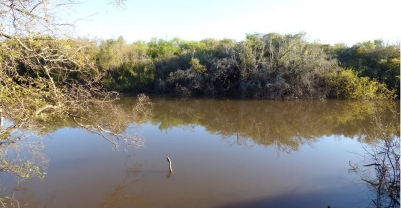 Campo Ganadero en Artigas — imagen 5