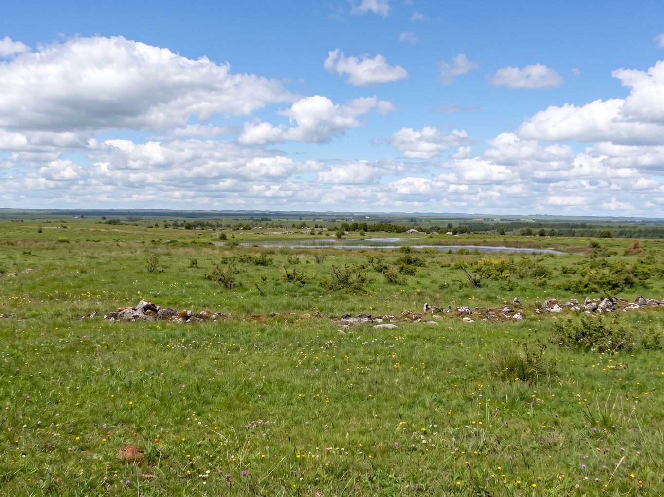 Estancia en Artigas