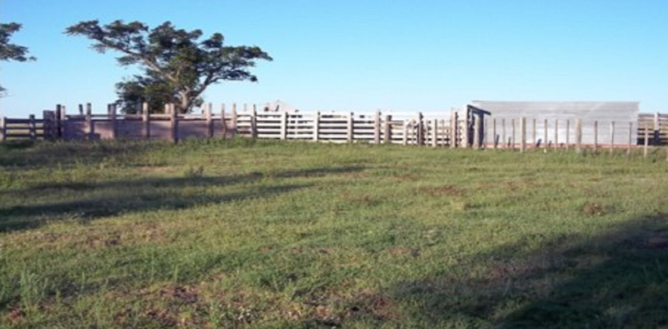 Estancia en Artigas — imagen 2