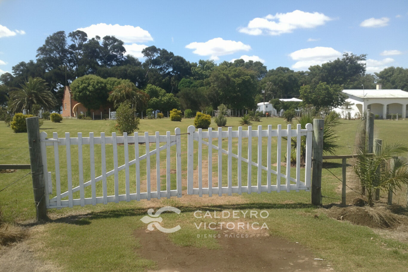 Campo en Artigas — imagen 7