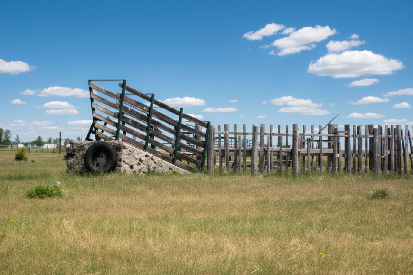 Campo en Artigas — imagen 9