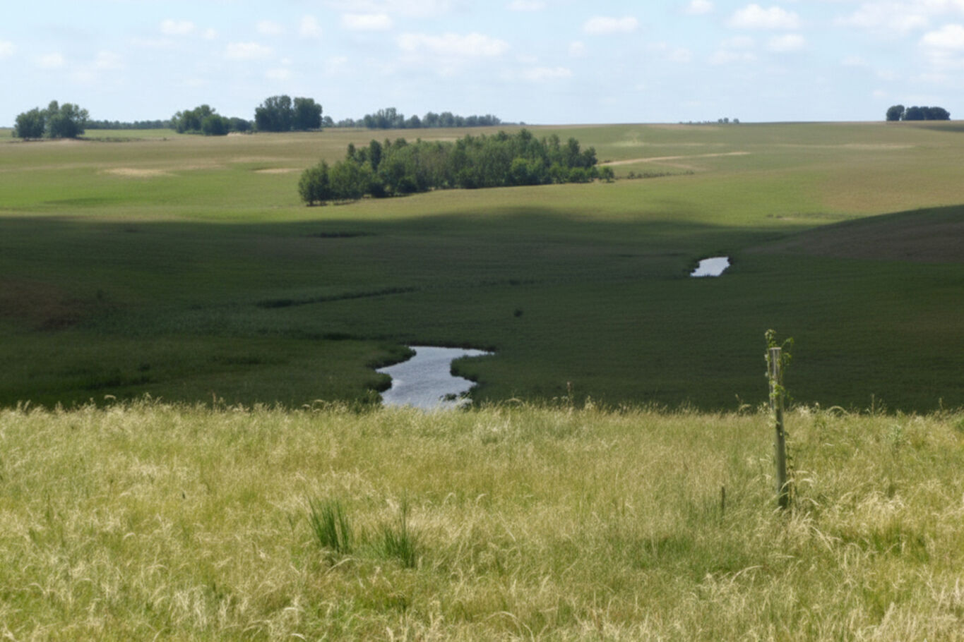 Campo en Artigas — imagen 13