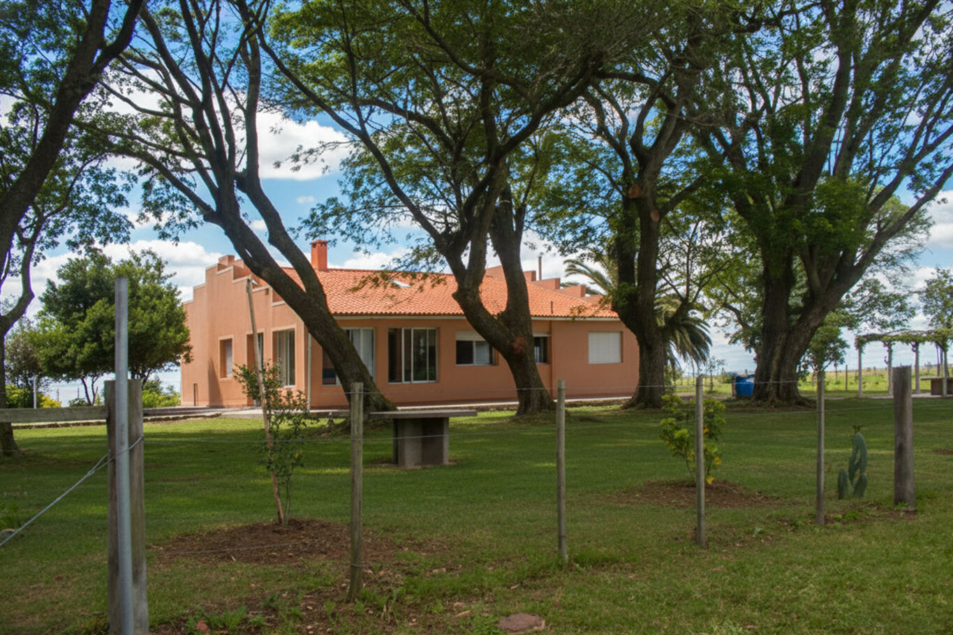 Campo en Artigas — imagen 14