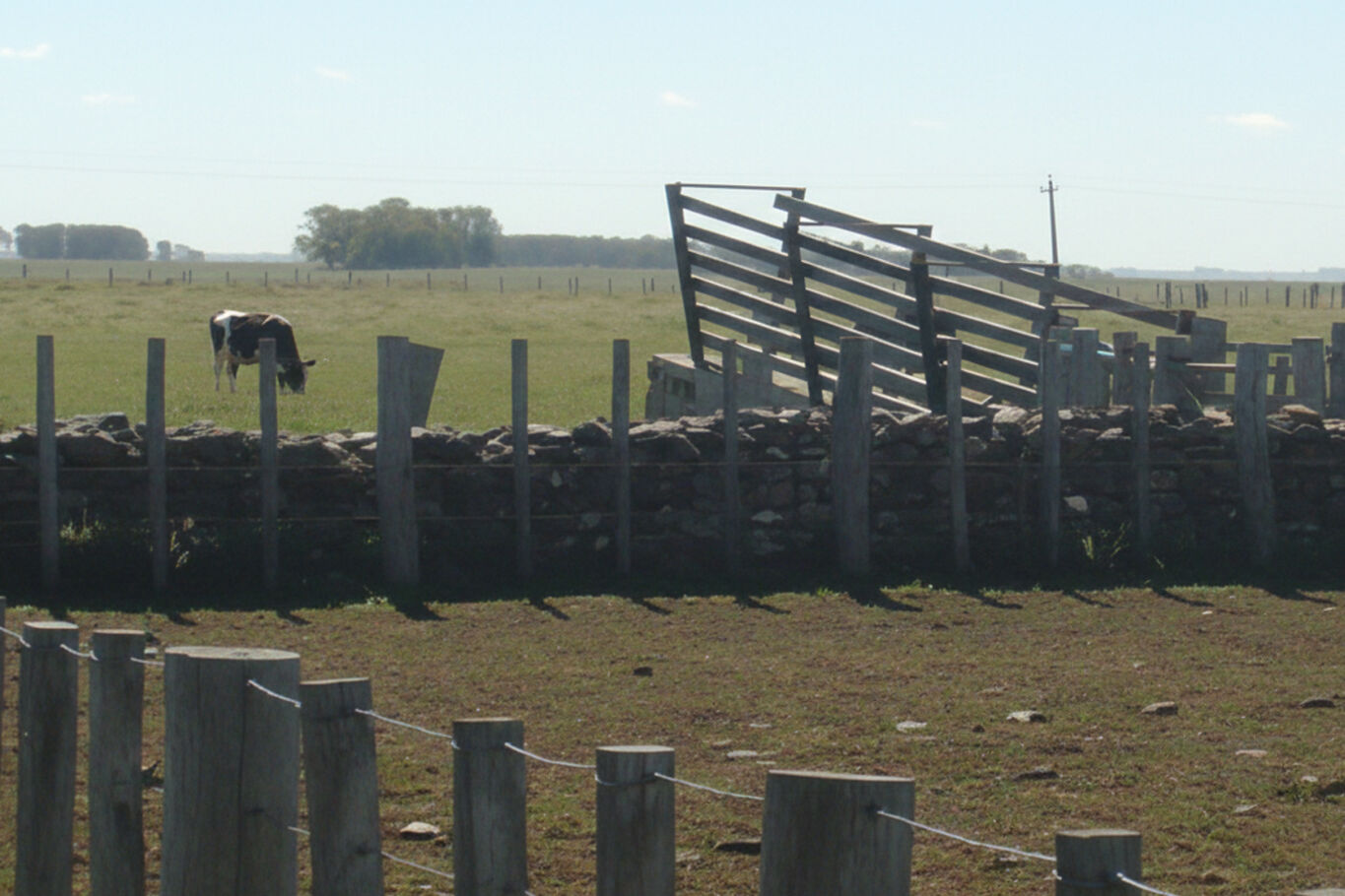Campo en Artigas — imagen 15