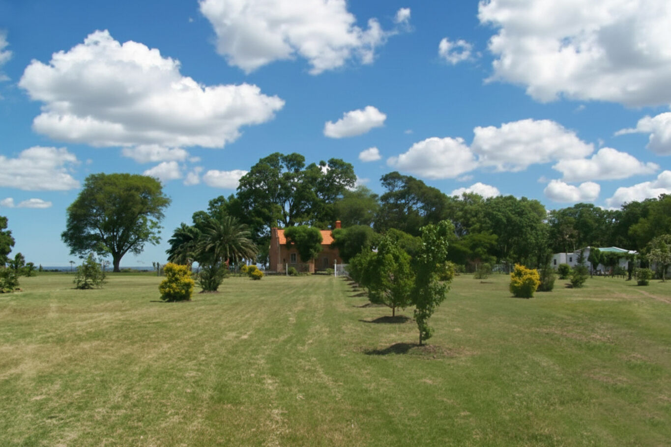 Campo en Artigas — imagen 18