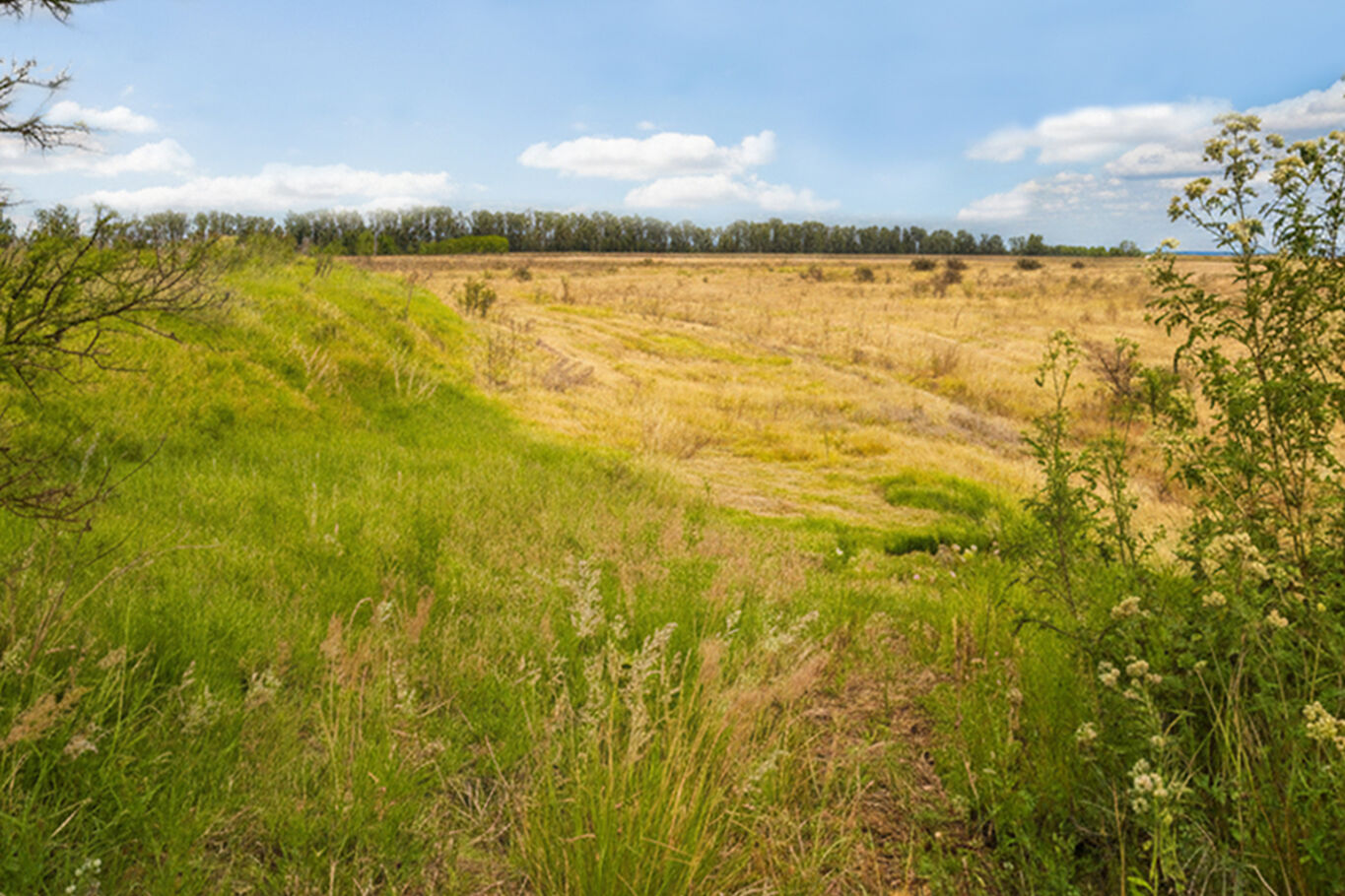 Campo en Salto — imagen 2