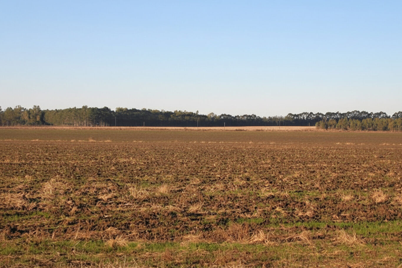 Campo en Salto — imagen 3