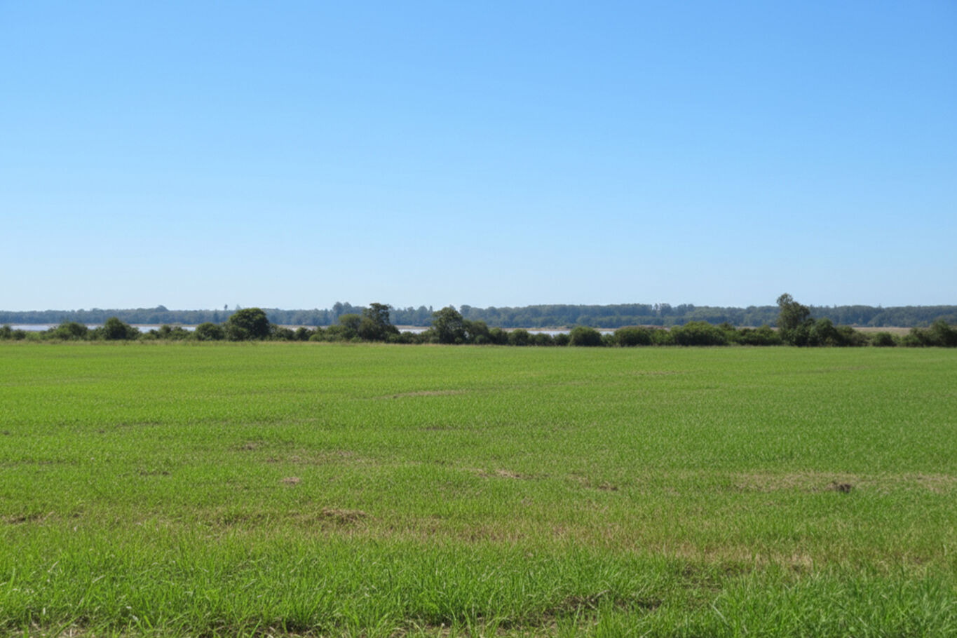 Campo en Salto — imagen 4