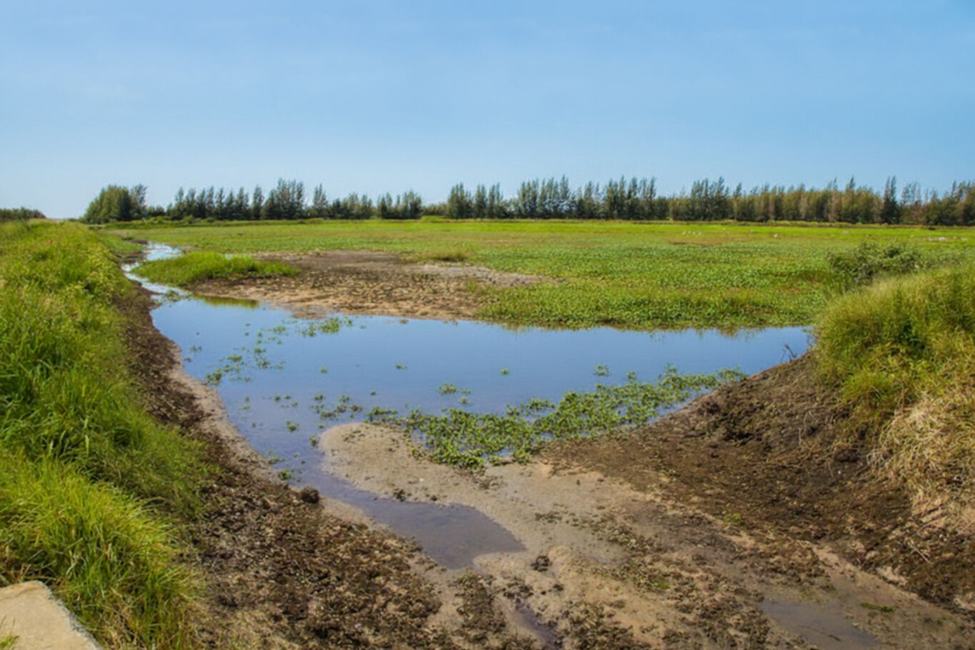 Campo en Salto — imagen 5