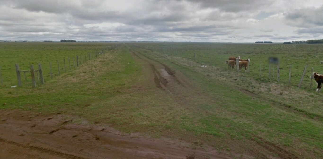 Campo con Renta en Salto
