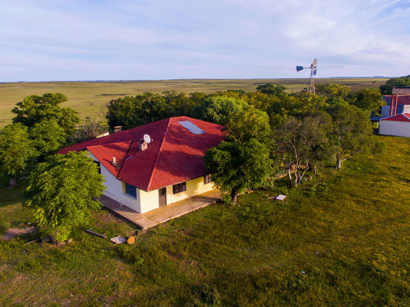 Campo en Salto — imagen 2