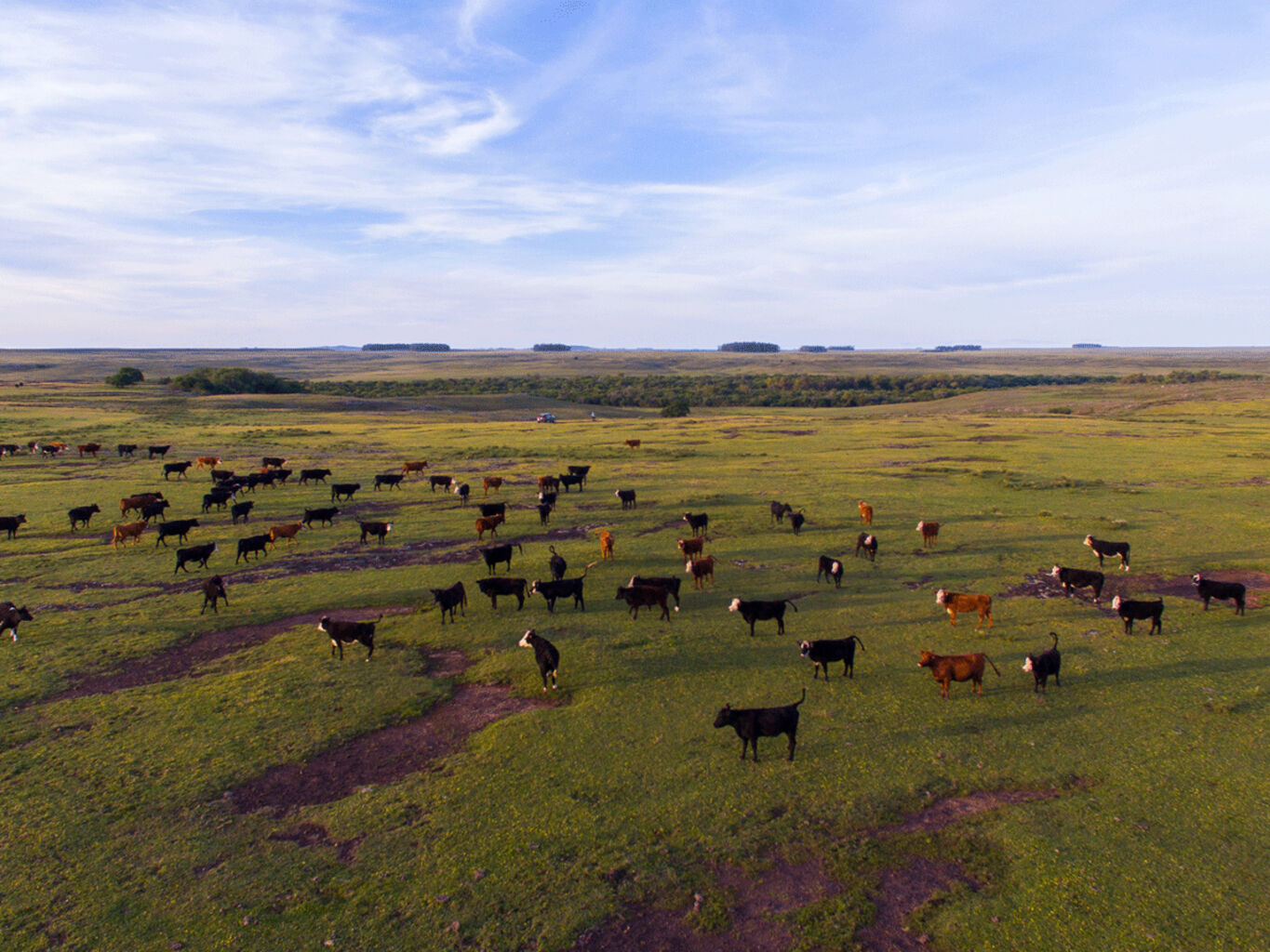 Campo en Salto — imagen 3