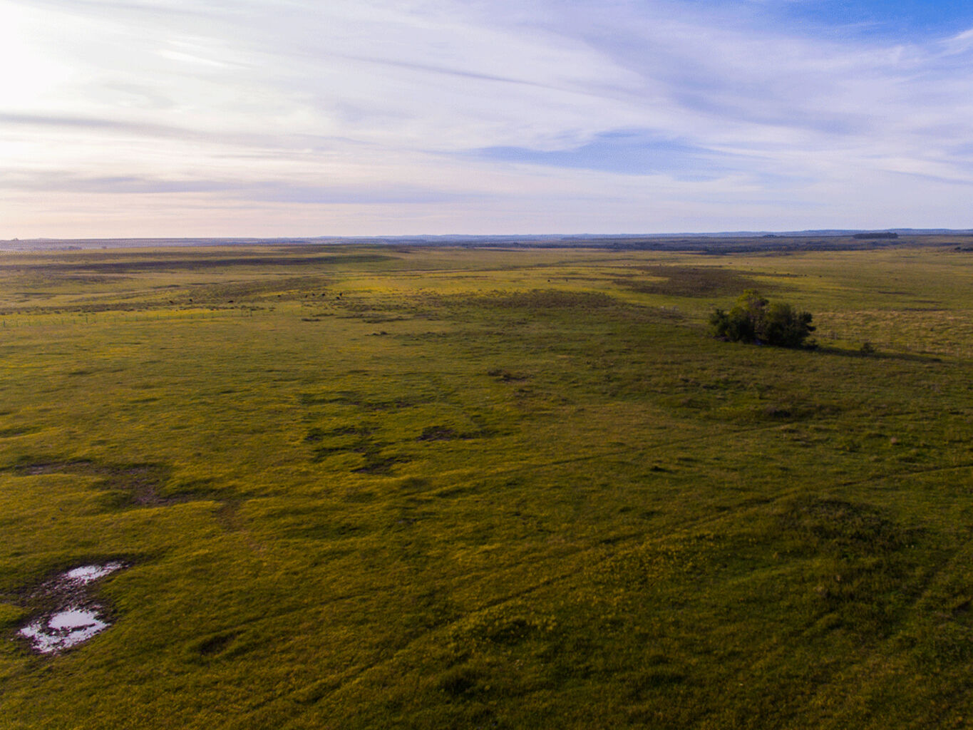 Campo en Salto — imagen 4