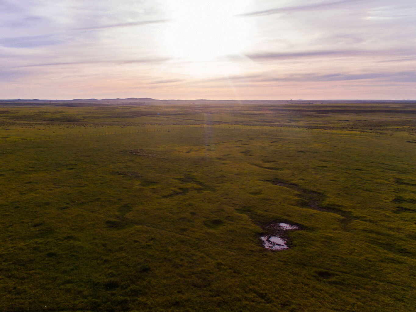 Campo en Salto — imagen 5