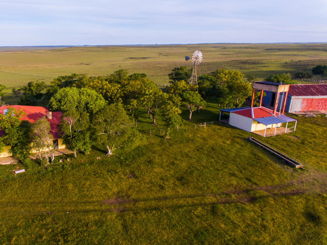 Campo en Salto — imagen 6