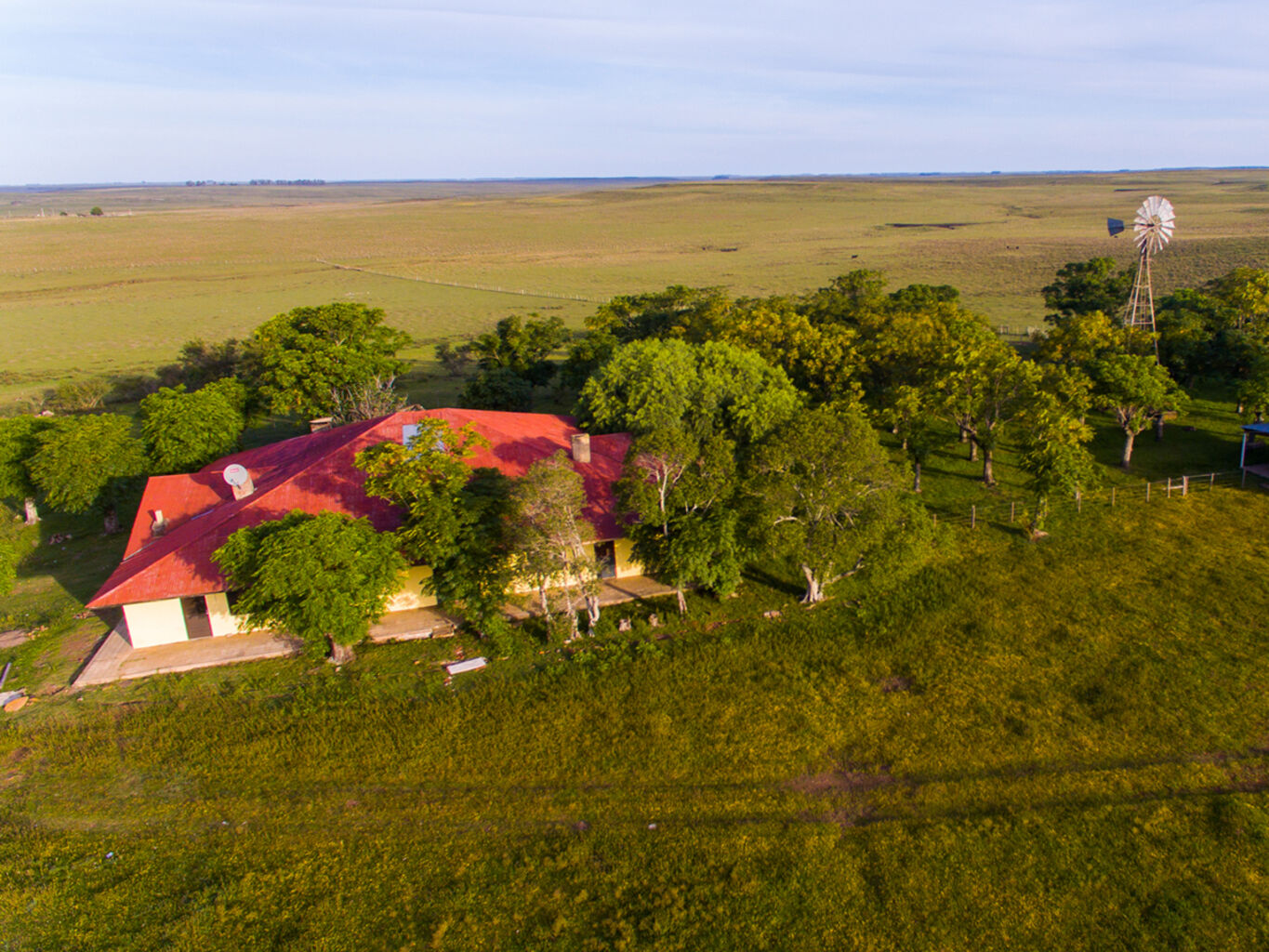 Campo en Salto — imagen 7