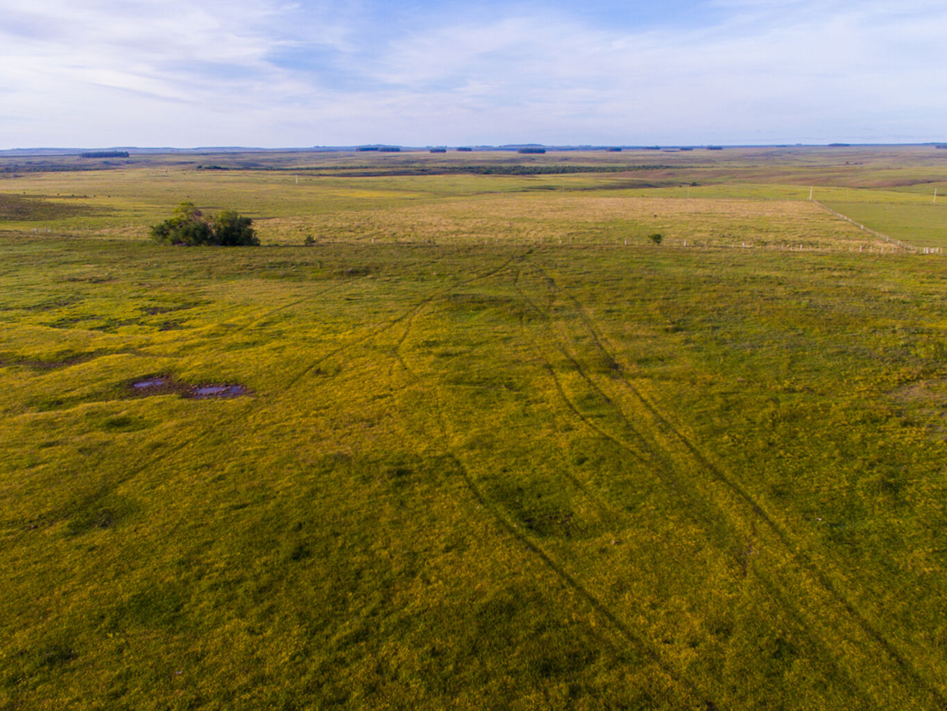 Campo en Salto — imagen 8
