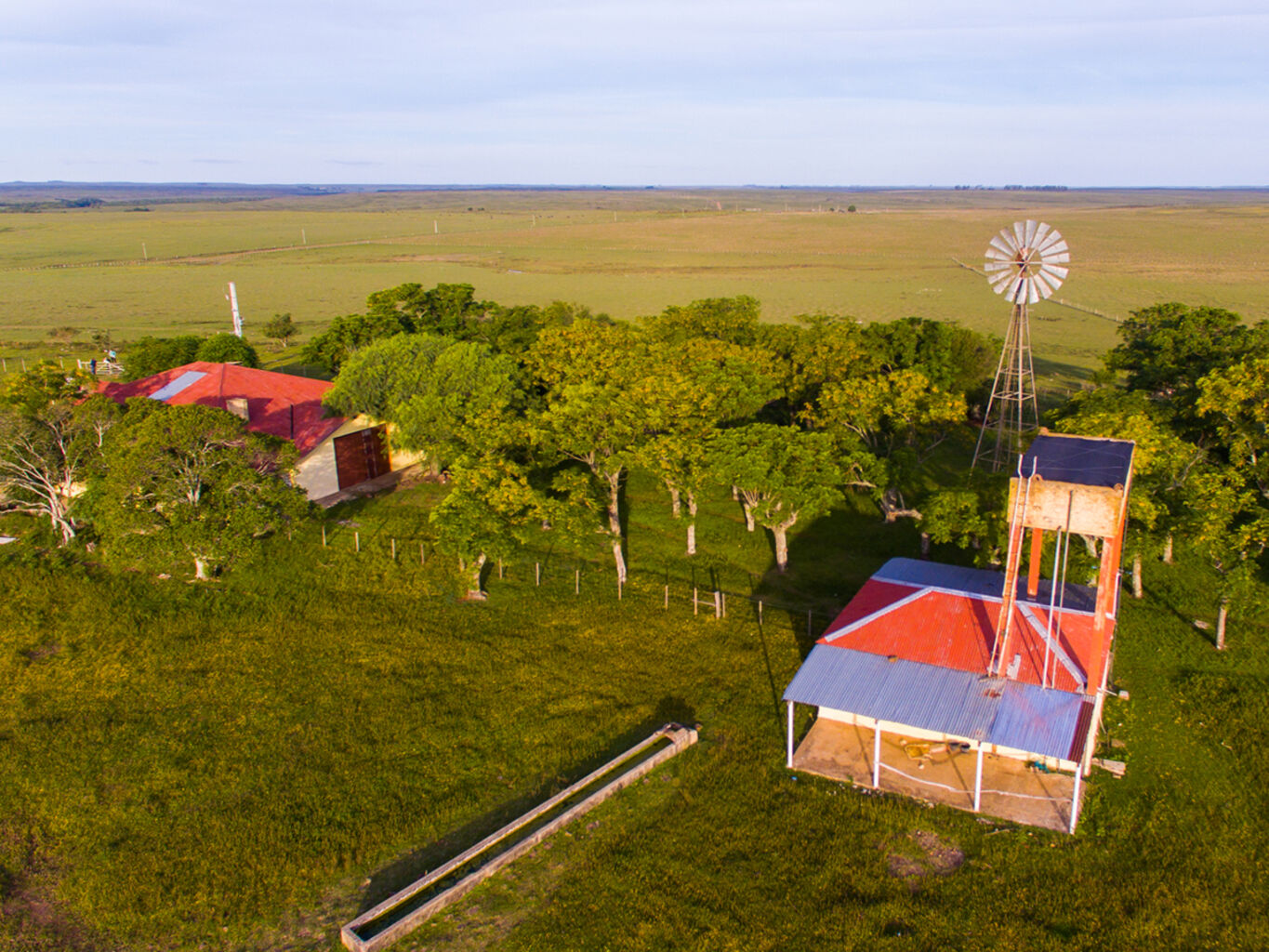 Campo en Salto — imagen 9