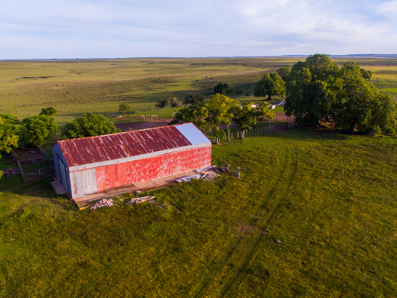 Campo en Salto — imagen 10