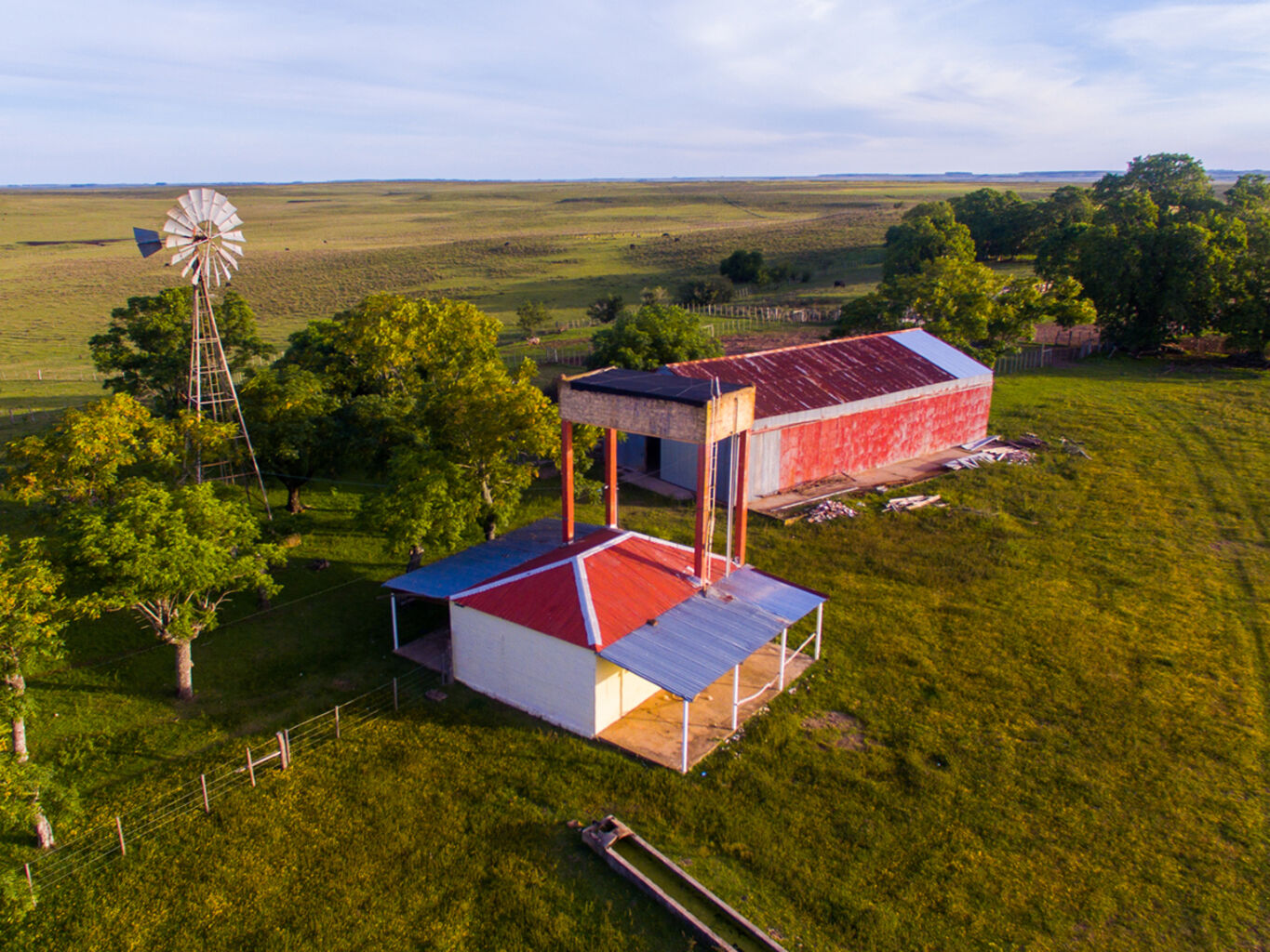 Campo en Salto — imagen 11