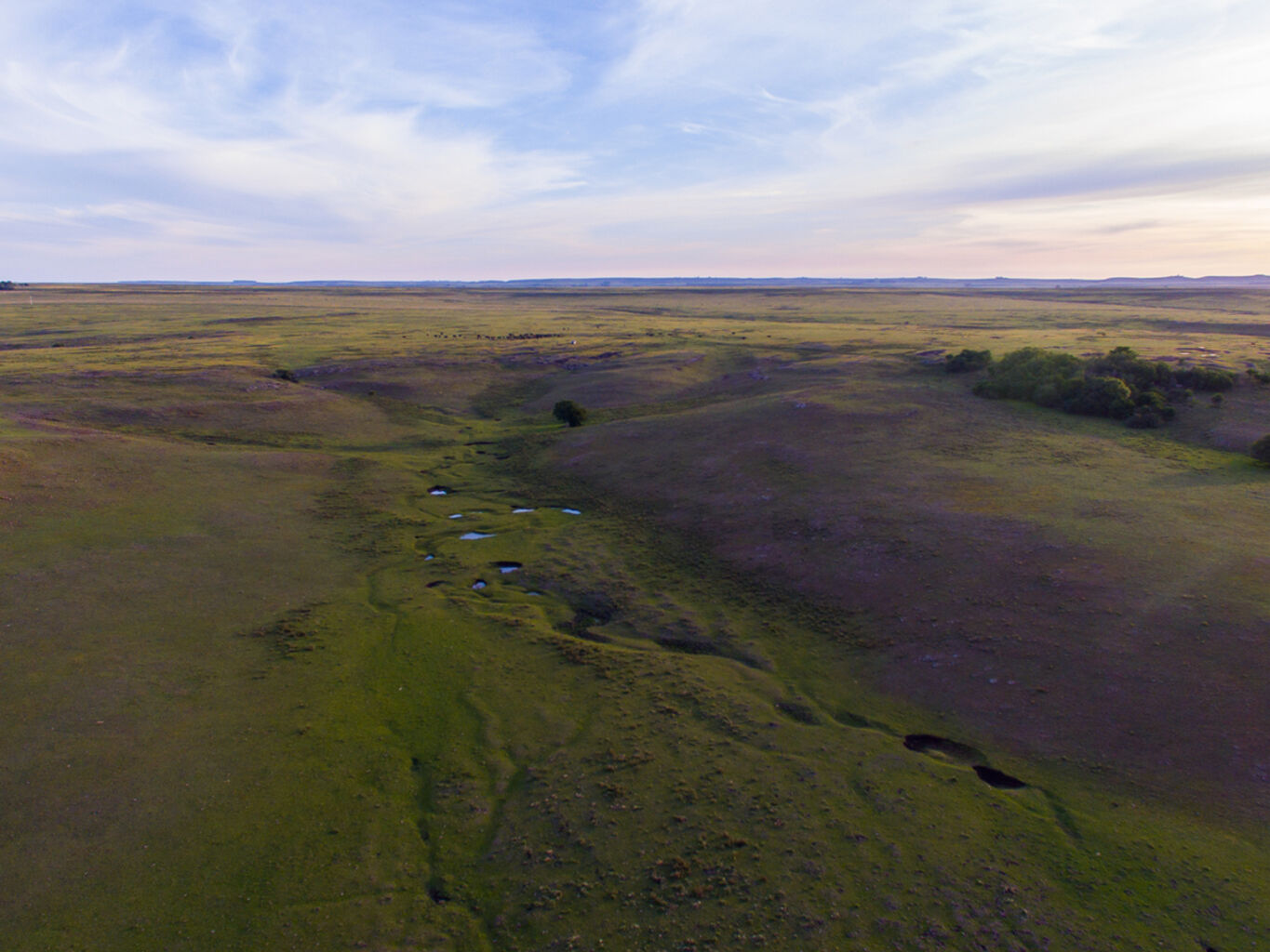 Campo en Salto — imagen 13