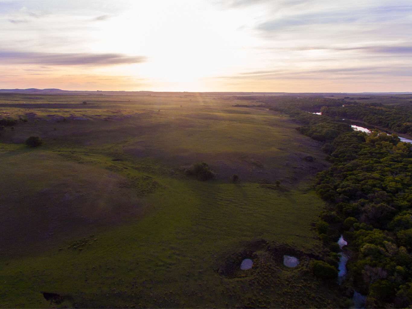 Campo en Salto — imagen 14