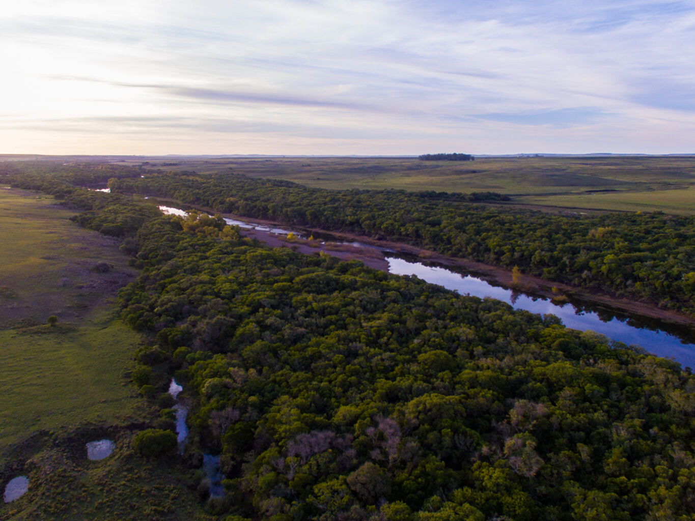 Campo en Salto — imagen 15