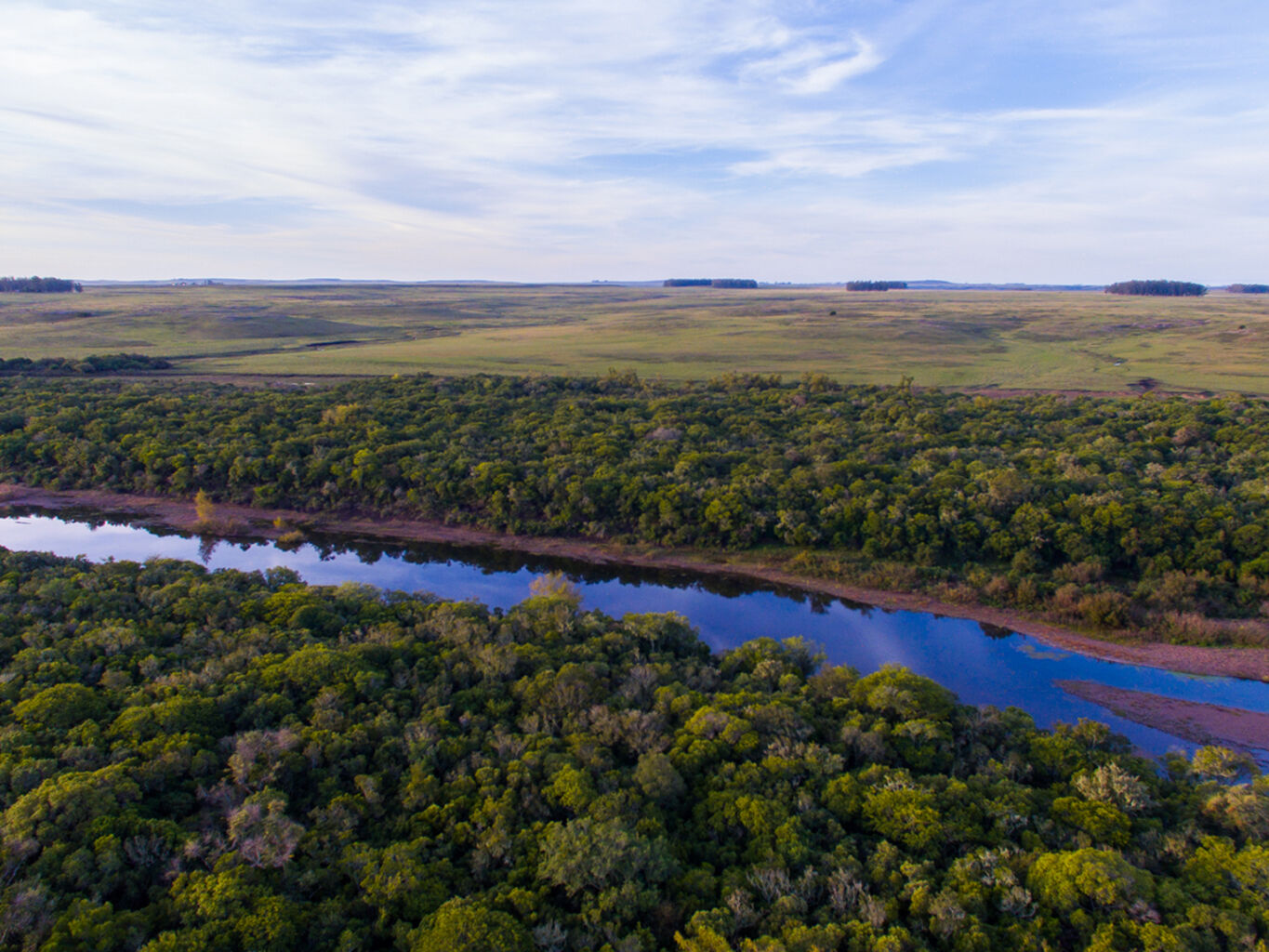 Campo en Salto — imagen 16