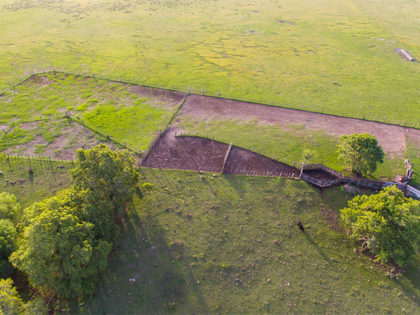 Campo en Salto — imagen 17