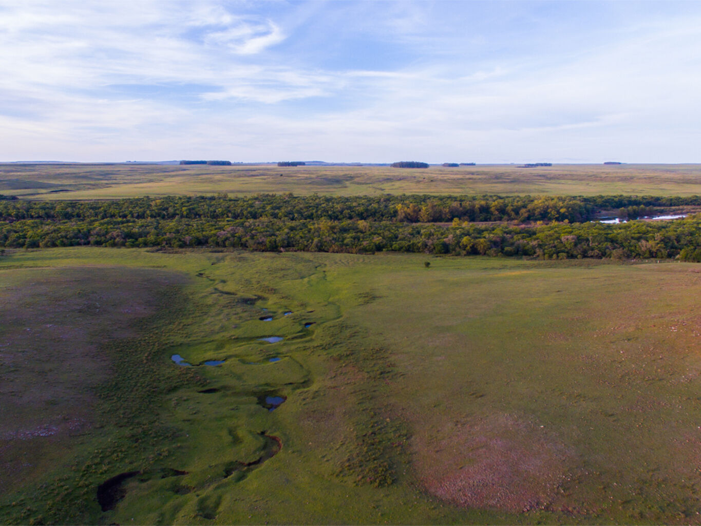 Campo en Salto — imagen 18
