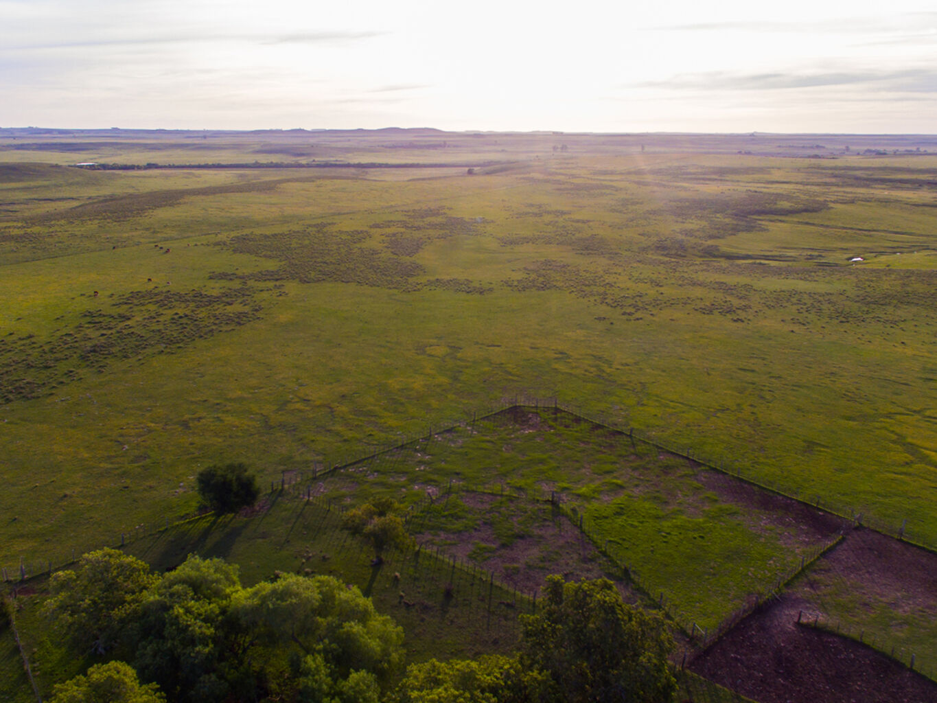 Campo en Salto — imagen 19