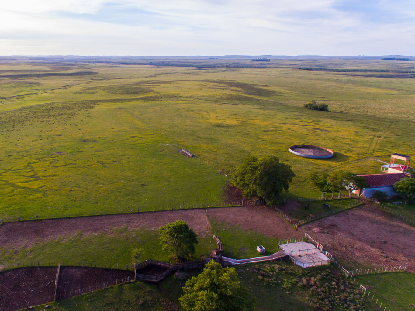Campo en Salto — imagen 20