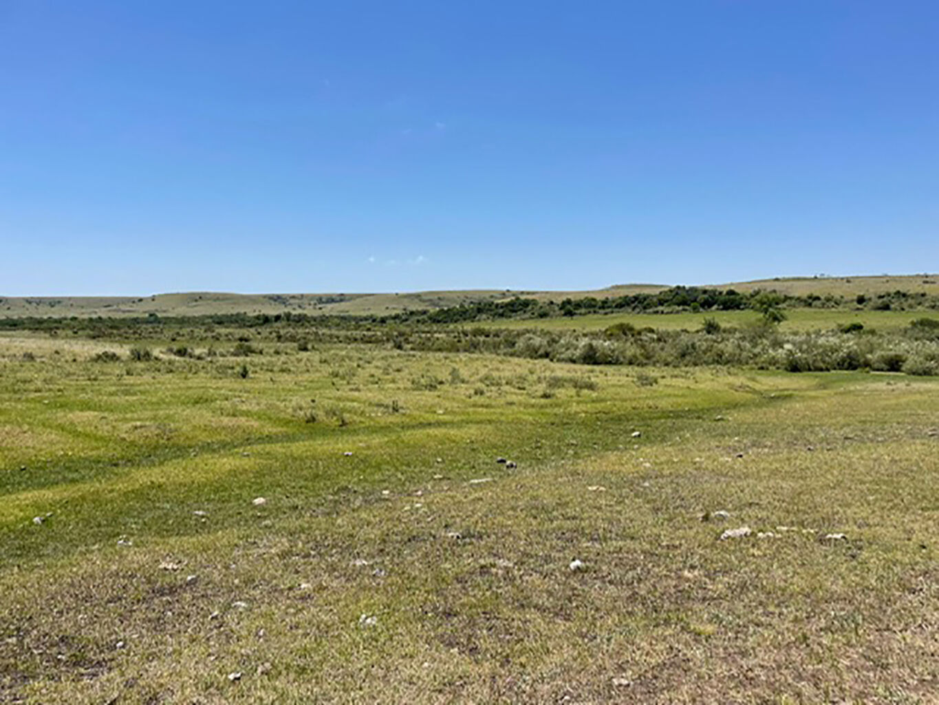 Campo en Salto — imagen 3