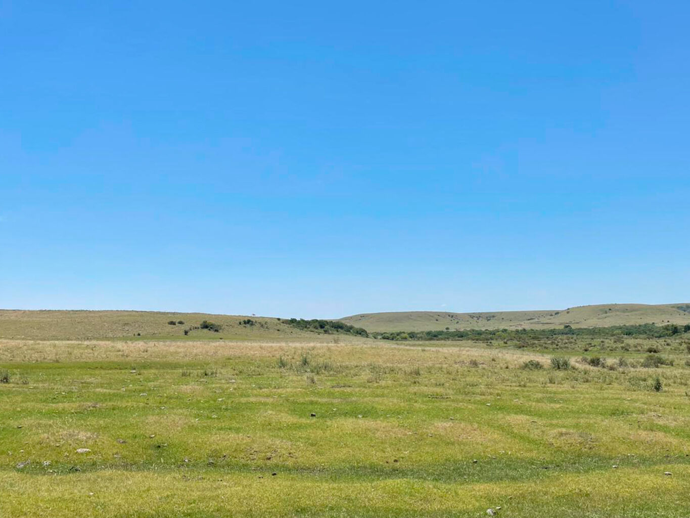 Campo en Salto