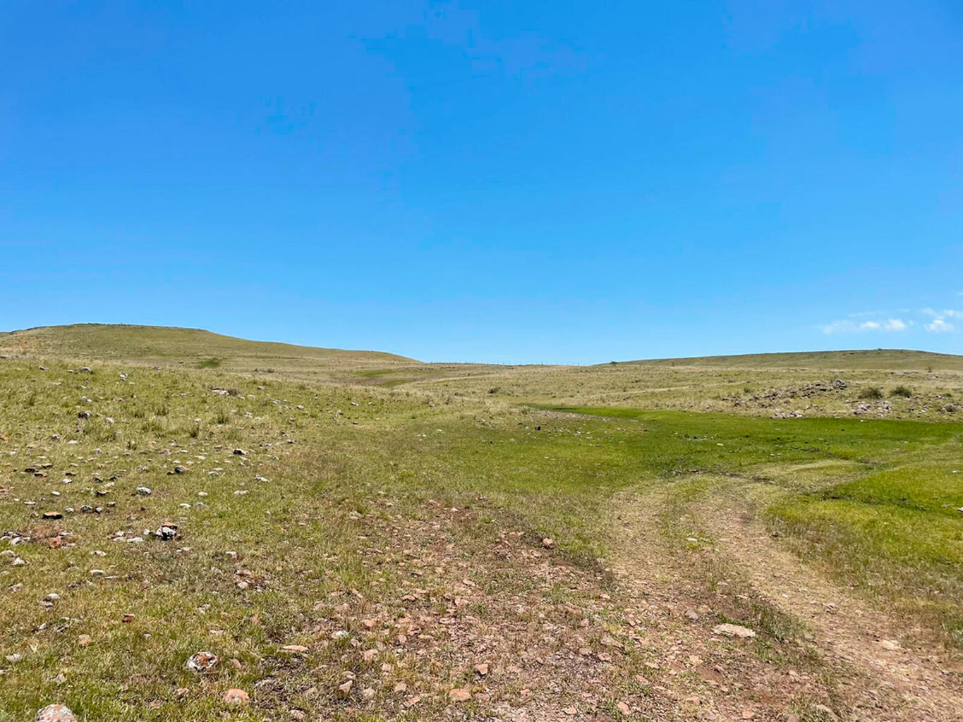 Campo en Salto — imagen 4