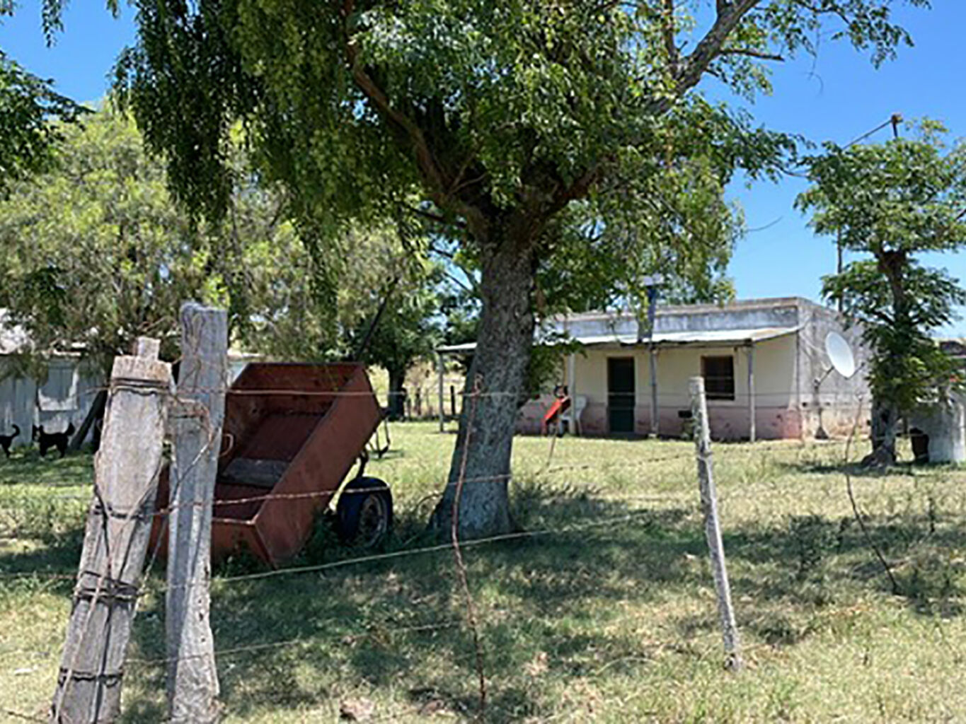 Campo en Salto — imagen 2