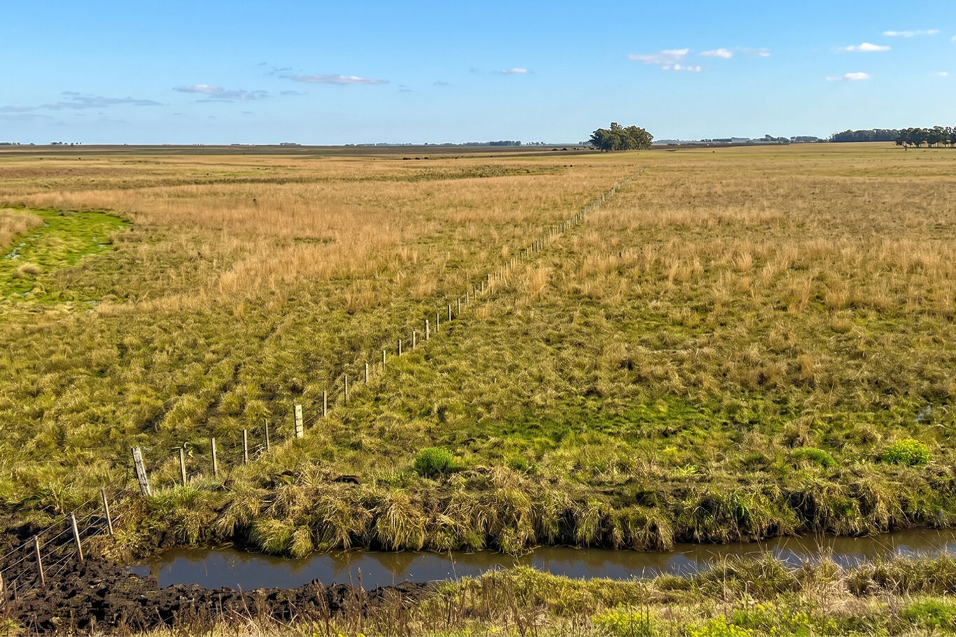 Campo en Salto — imagen 2