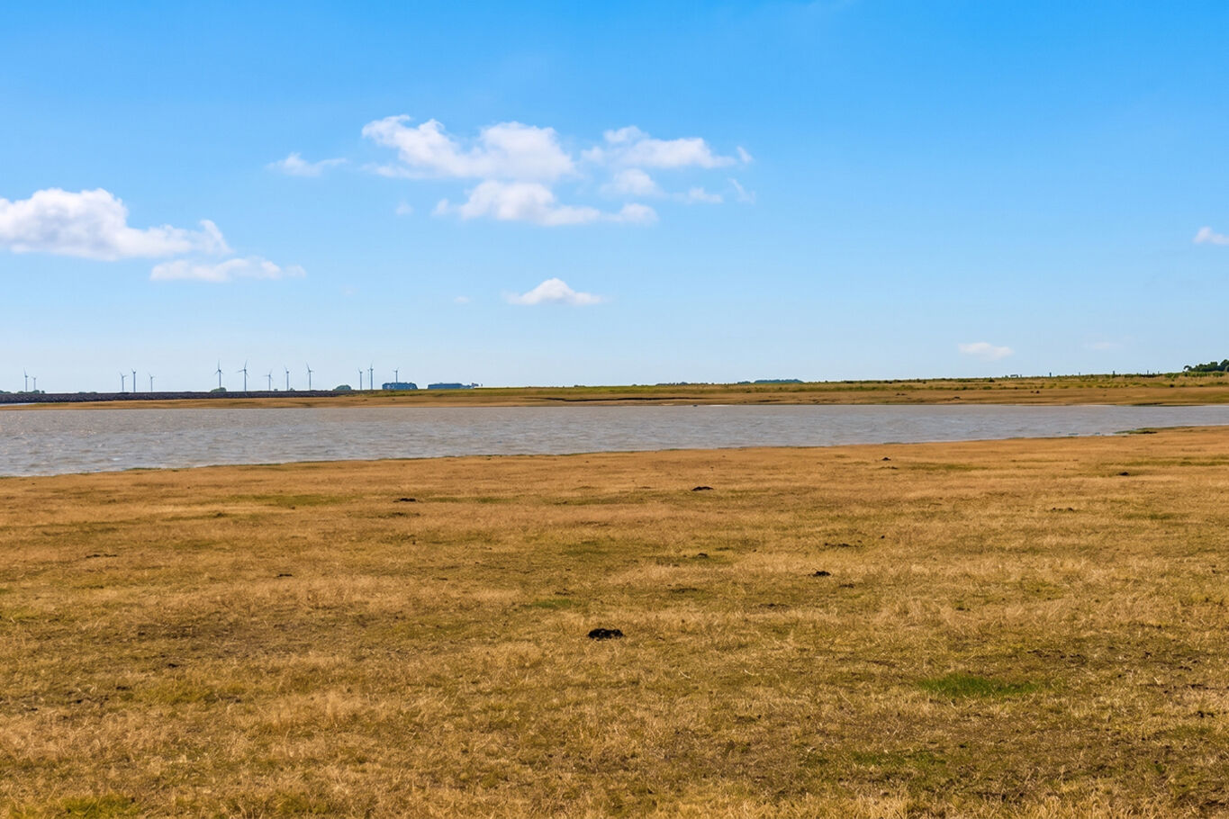 Campo en Salto — imagen 3