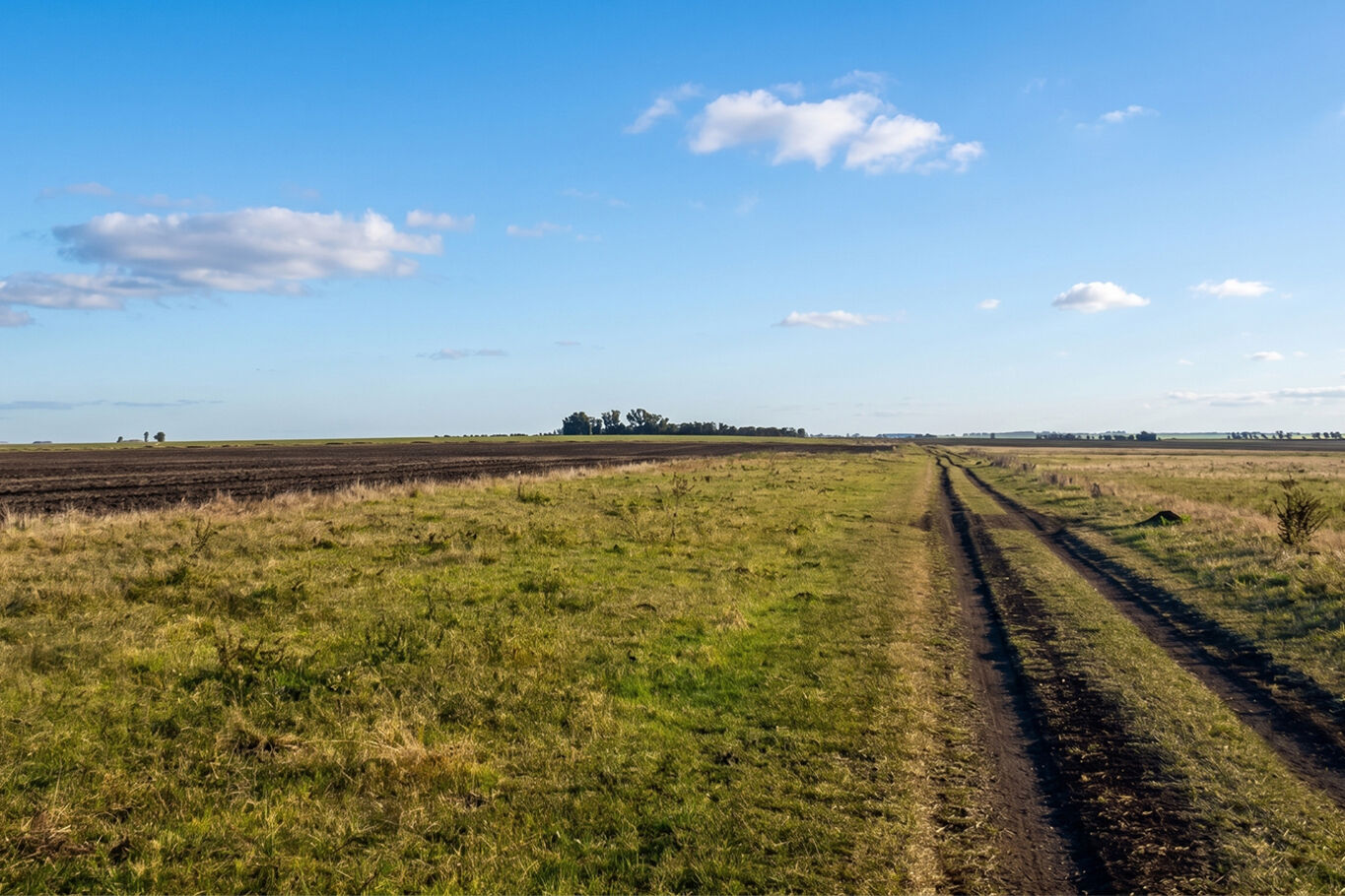 Campo en Salto — imagen 8