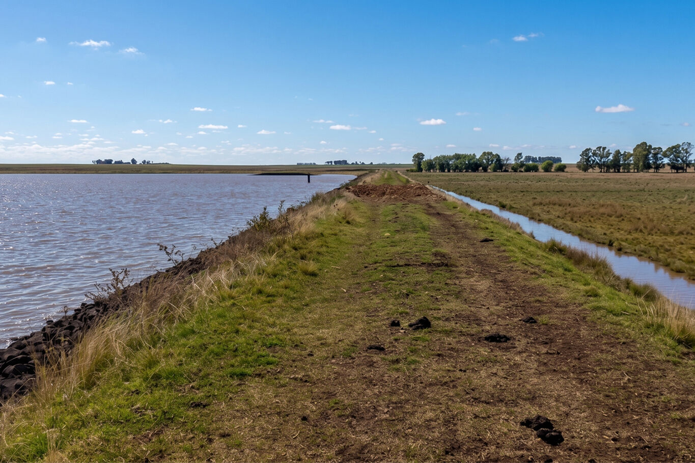 Campo en Salto — imagen 9